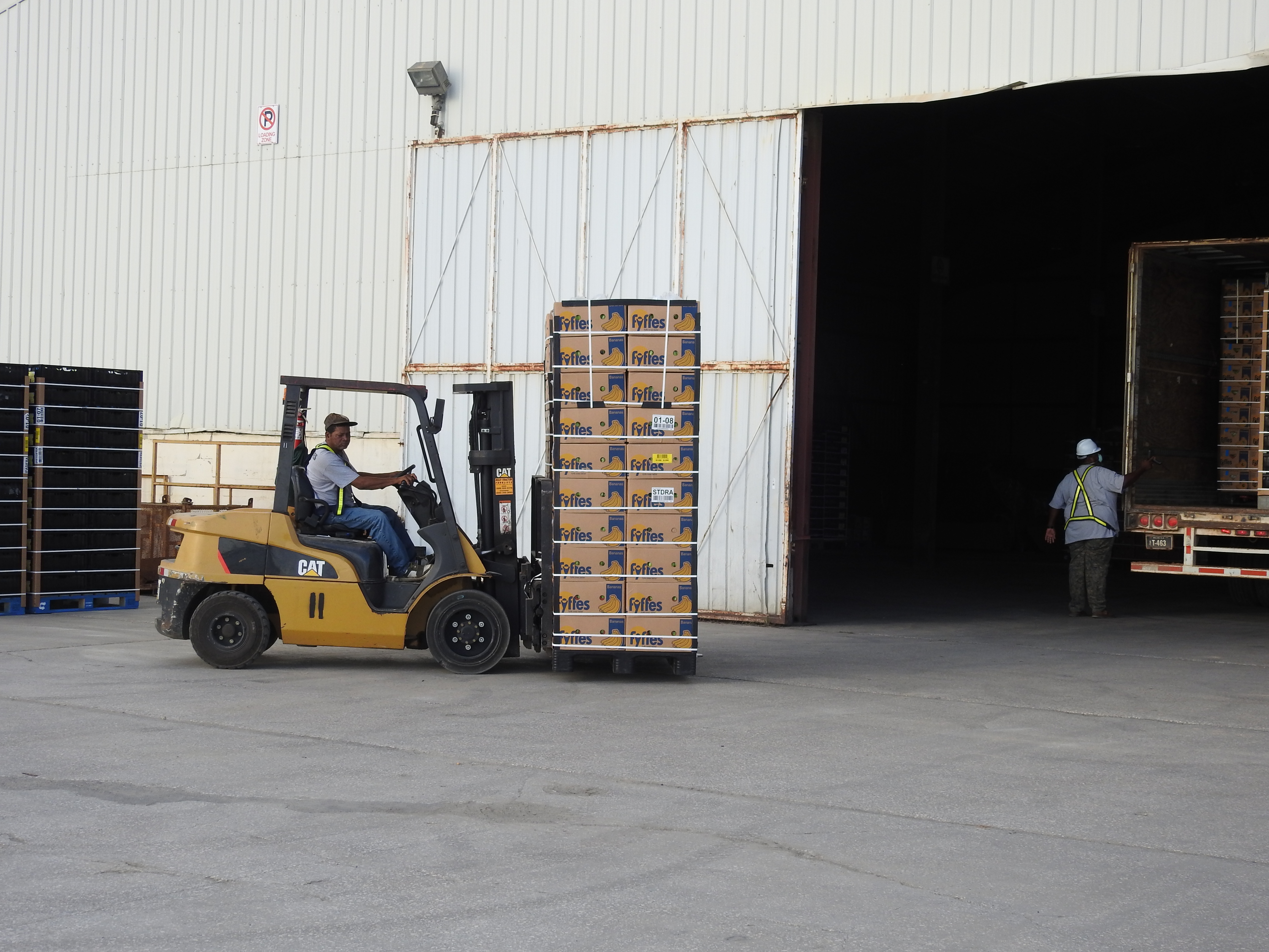 Stevedoring